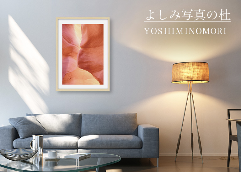 よしみ写真の杜