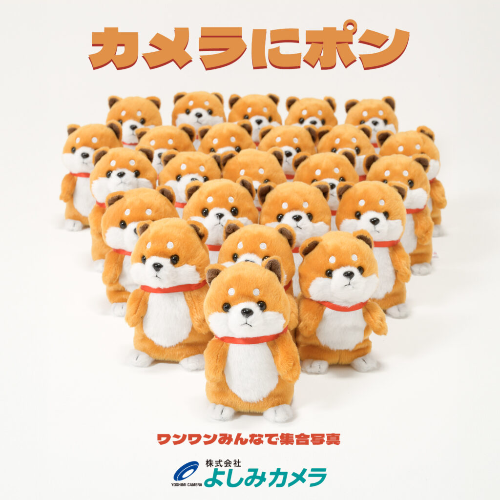 カメラにポン